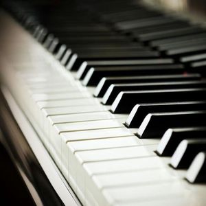 日本妇女户外性交图
