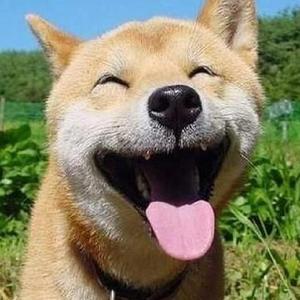 日本妇女户外性交图
