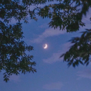 日本妇女户外性交图
